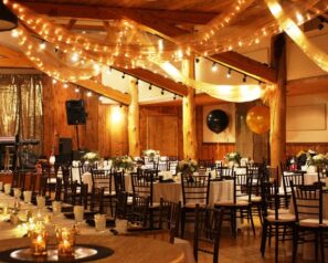 Reception Hall with tulle and string lights