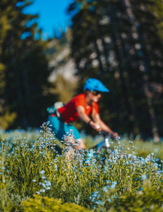 Wildflowers and bicyclist